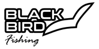Black Bird Fishing
